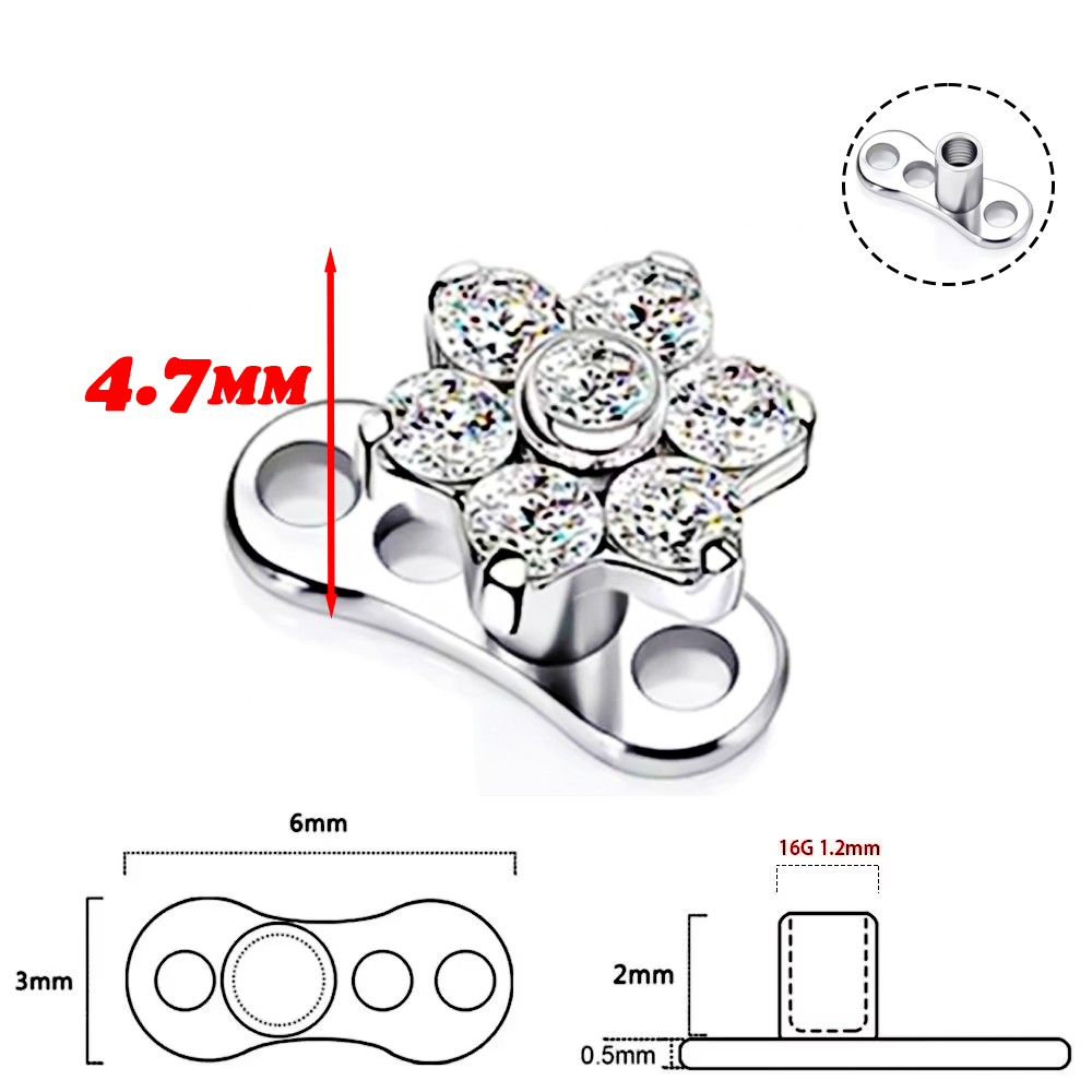 F136 Titanium Alloy High-Quali - Qualiti Body Jewelry ulasan dan harga